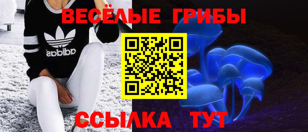 Александров  Псилоцибиновые грибы Cubensis  Вход с VPN 